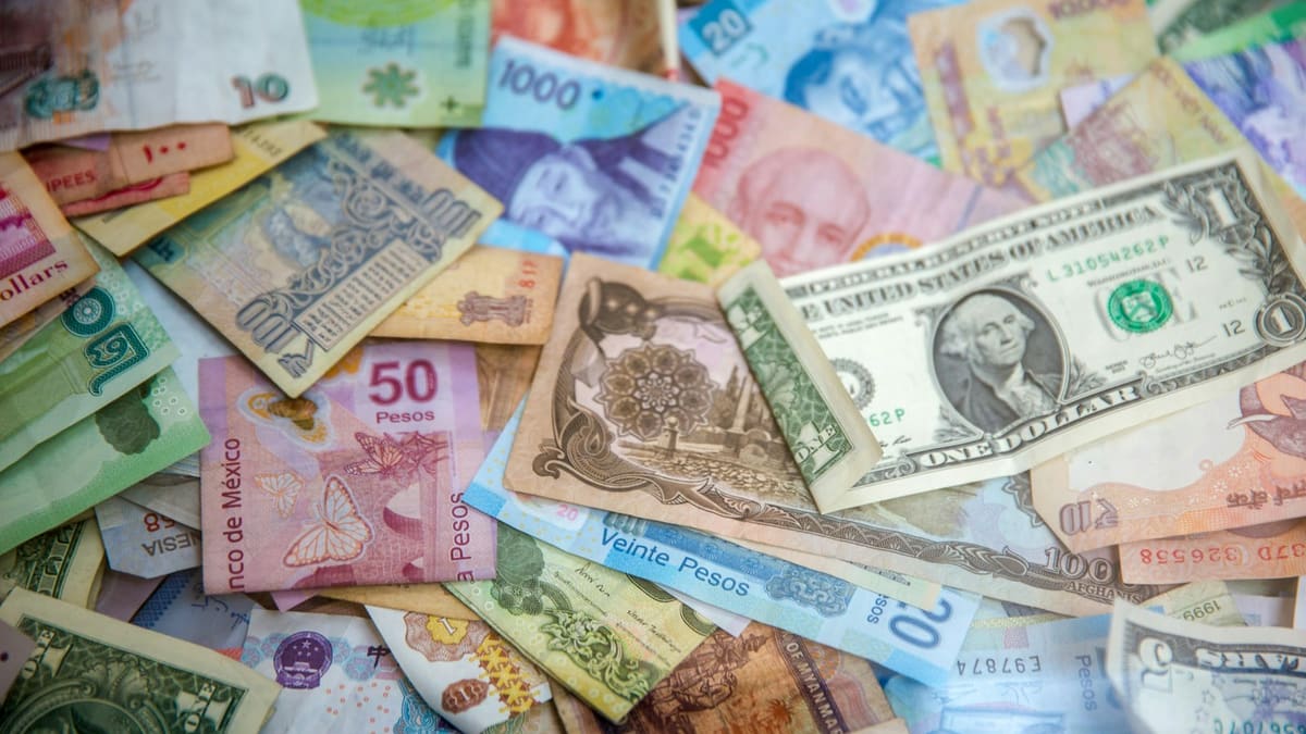 High Income but No Wealth: Where the Money Actually Goes