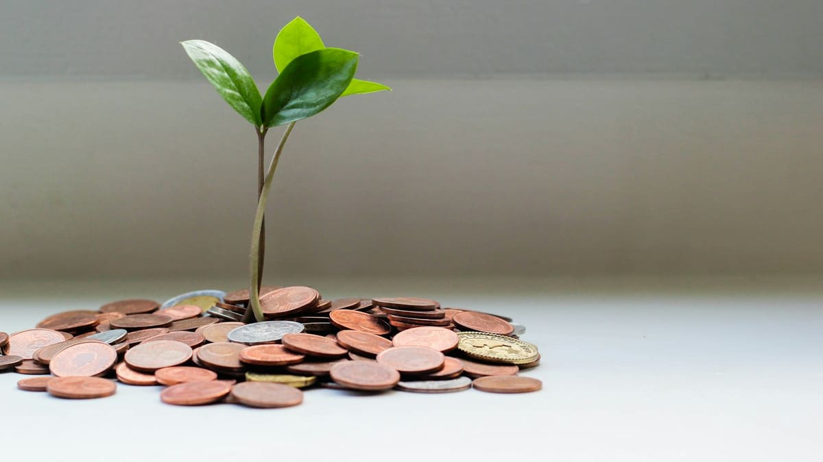 How to Build Wealth on a High Salary: 7 Steps